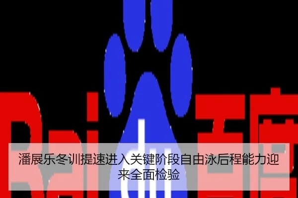 潘展乐冬训提速进入关键阶段自由泳后程能力迎来全面检验